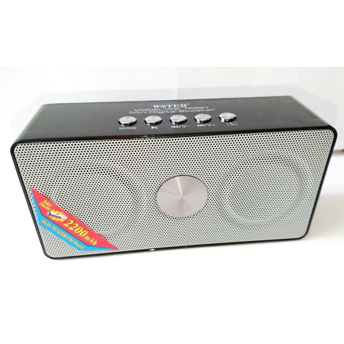 Пригнічувач диктофонів WSTER